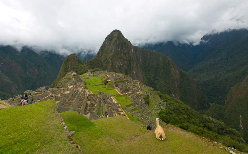 The breathtaking view of Machu Picchu along the Inca Trail.