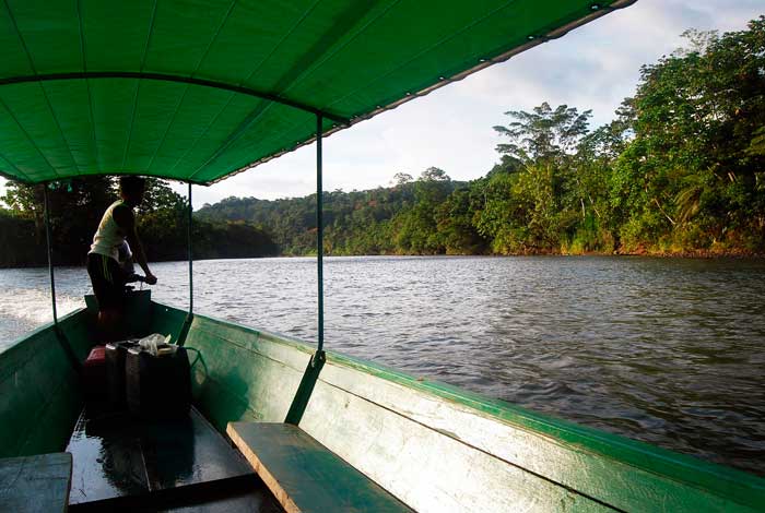 Tambopata Reserve Amazon 4d/3n – photo 1