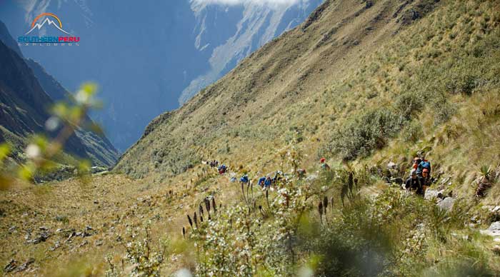 Inca Trail & Salkantay Trek 7D/6N – photo 4