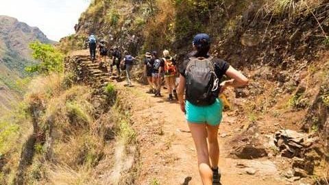Hiking to Machu Picchu in Peru with trekkers walking mountain trails, cloud forest scenery, and Andean landscapes on the route to the Inca citadel